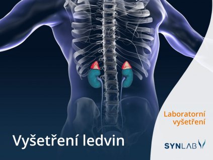 Preventivní balíček vyšetření ledvin Synlab