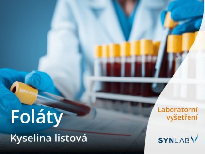 folaty kyselina listova synab