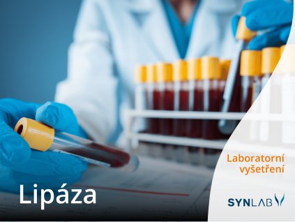 lipaza synlab