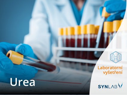 urea synlab