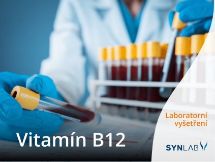 vitamin b12 synlab