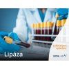 Lipáza