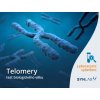Telomery SYNLAB