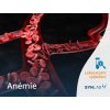 Anémie