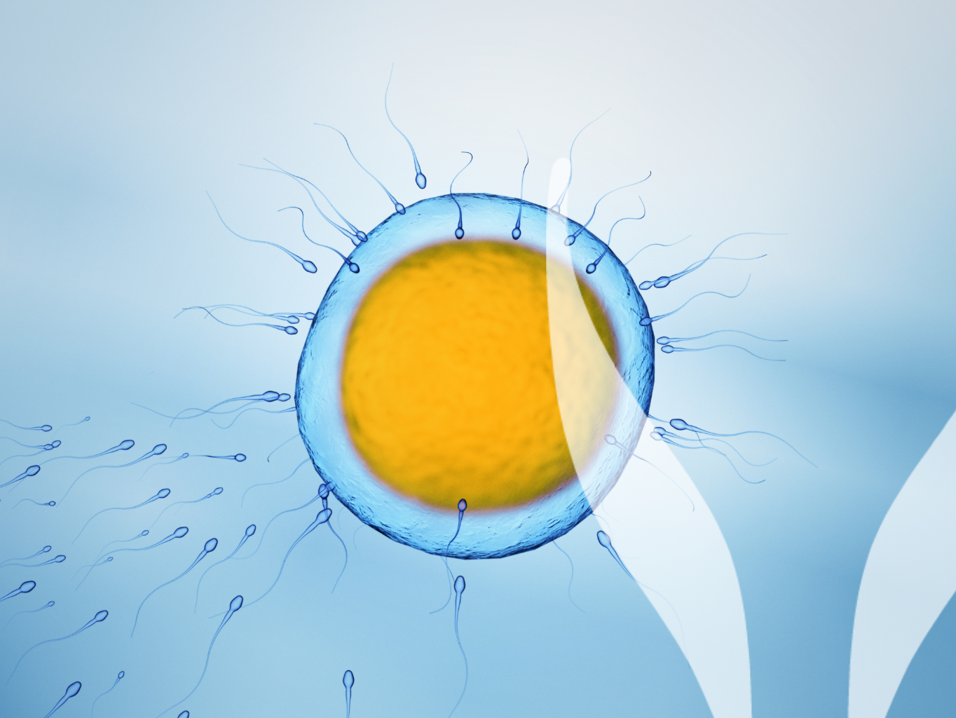 Vyšetrenie AMH – praktický pomocník pri plánovaní rodičovstva