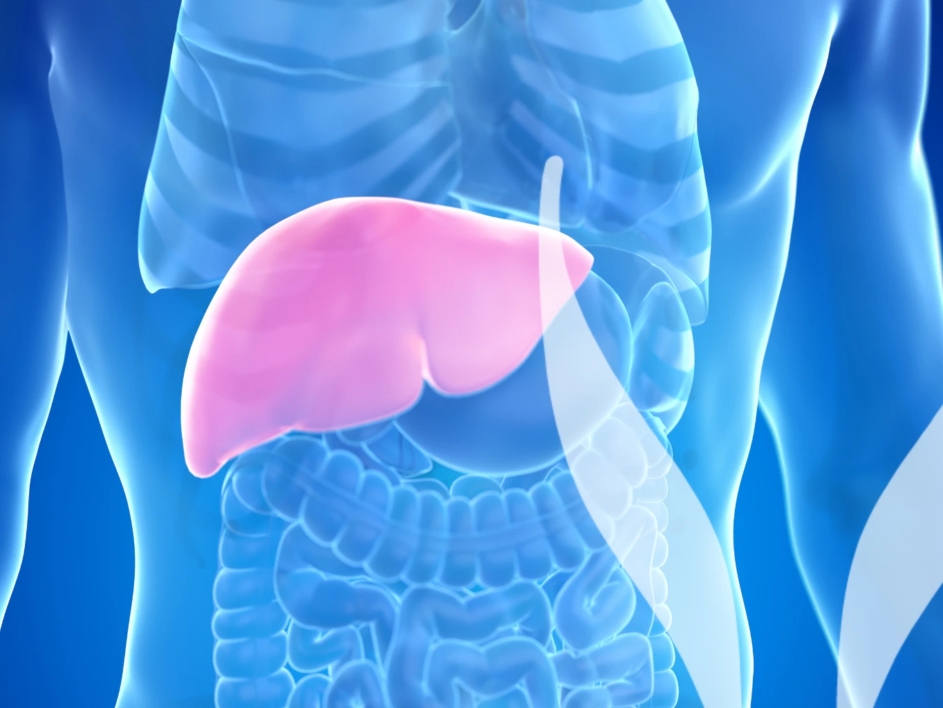 Zdravie pečene pod kontrolou? Spoľahnite sa na krvné testy.