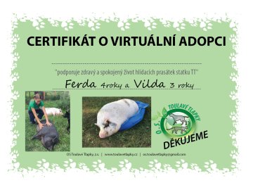 Ferda a Vilda