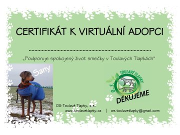 CERTIFIKÁT K ADOPCI "SANY"