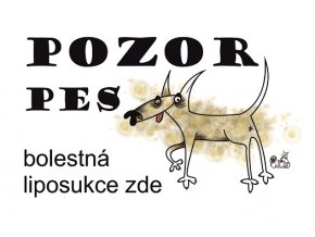 Pozor pes - bolestná liposukce zde