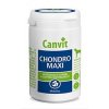 Canvit Chondro Maxi pro psy