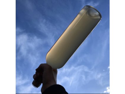 Živá vína u Vás doma