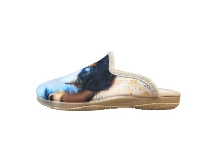 Photoroom 001 20251124 133302