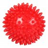 Masážní míček tvrdý malý čt