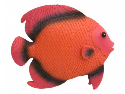 Dekorativnírůžovo-oranžová ryba 5720