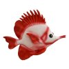 Dekorativní bílo-červená ryba 5724