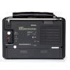 Tecsun S-8800 scanner