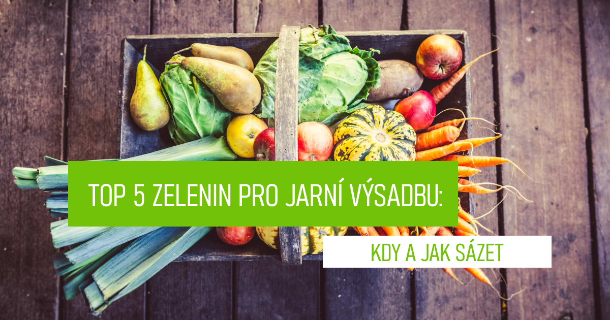 Top 5 zelenin pro jarní výsadbu: Kdy a jak sázet