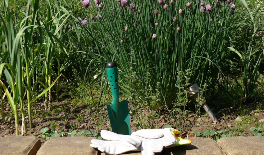 Jak začít se zahradničením: 10 tipů pro jarní výsadbu