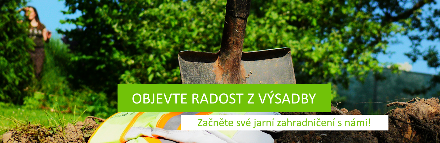 Jaro