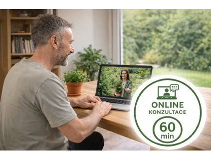 Konzultace online