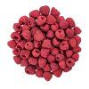 Lyofilizované maliny 100g