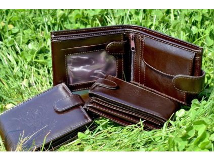 penezenka zubicek 01