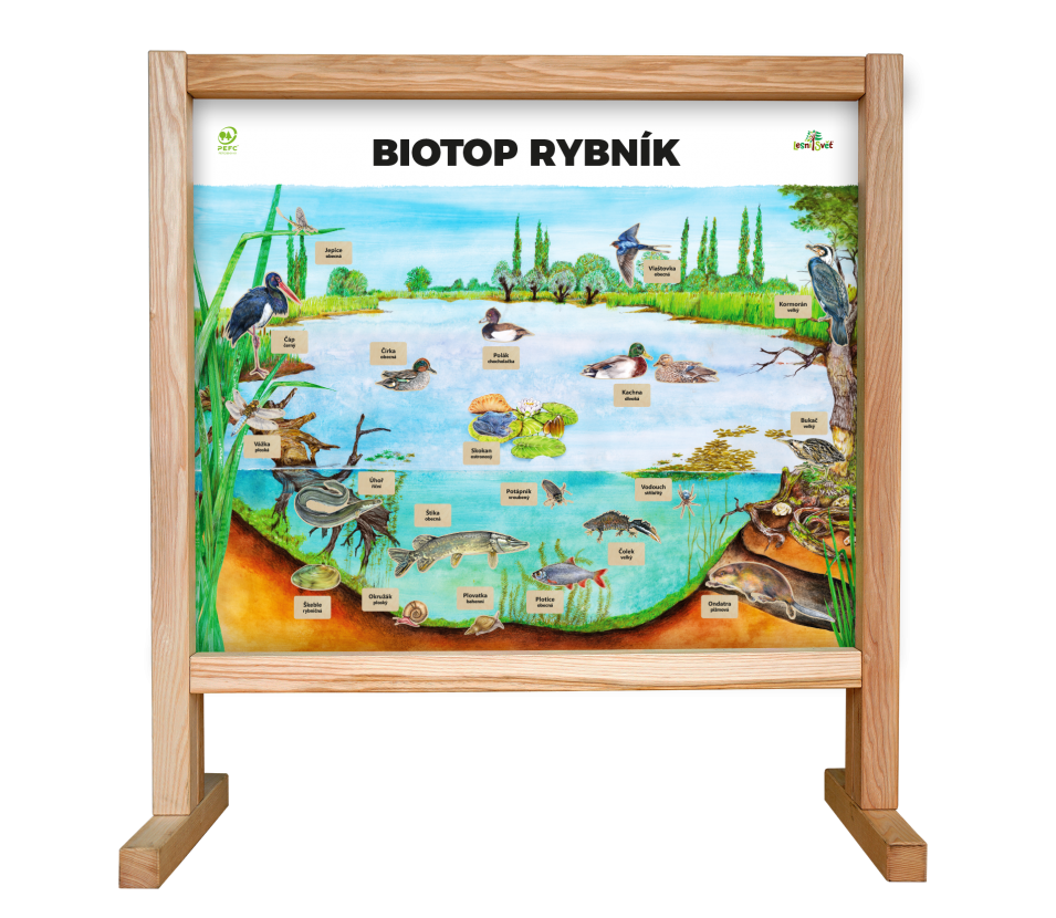 Lesní svět Stolní biotop s magnety - Rybník