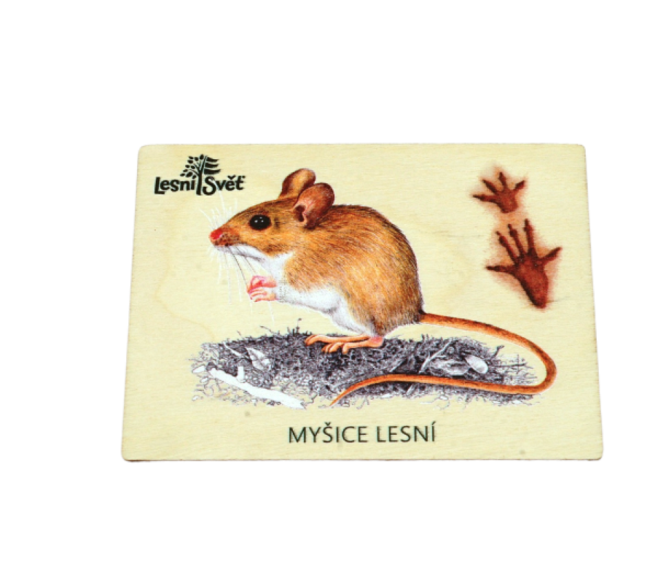 Lesní svět Magnet velký myšice