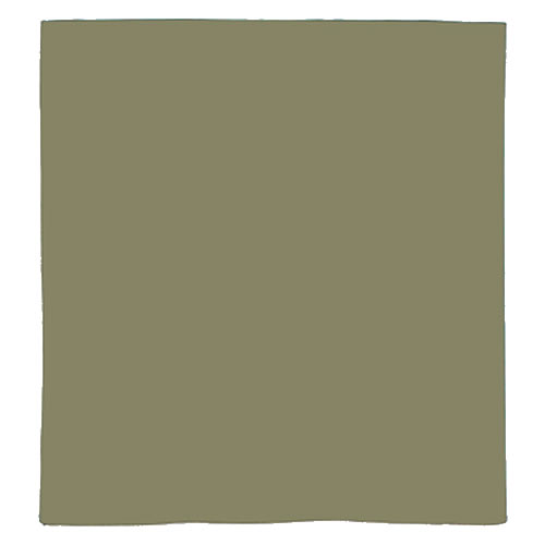 ROTHCO Šátek JUMBO ZELENÝ 68 x 68 cm Barva: Zelená