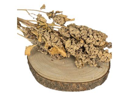 Křupátka Quinoa 25 g