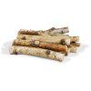 jr farm vetvicky brizy 40 g (1)