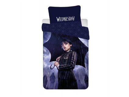 7347 4 wednesday rain