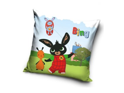 5919 1 bing poustenidraka pol