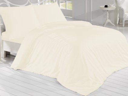 22100 smetanova icm