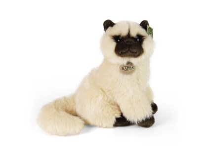 plysova kocka britska kratkosrsta 30 cm eco friendly