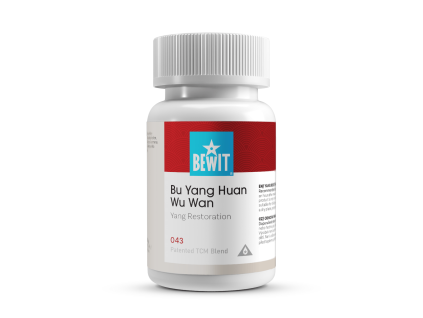 043 - Obnova Yang (Varianta Obnova Yang)