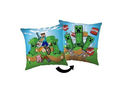 1071 1 minecraft creeper1