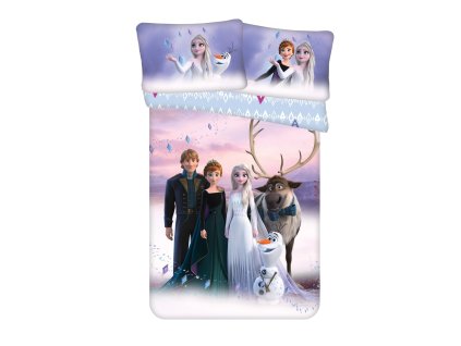 Disney povlečení do postýlky Frozen Elements baby (Varianta Disney povlečení do postýlky Frozen Elements baby 100x135, 40x60 cm)