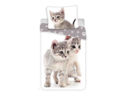 Povlečení fototisk Kitten grey (Varianta Povlečení fototisk Kitten grey 140x200, 70x90 cm)