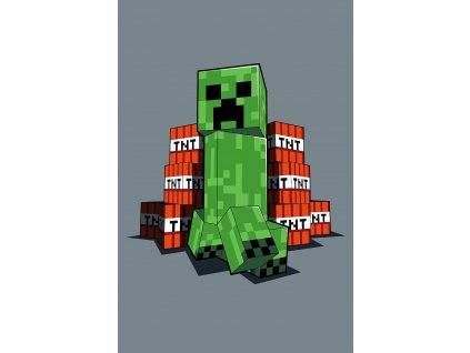Dětská fleecová deka Minecraft TNT (Varianta Dětská fleecová deka Minecraft TNT 100x150 cm, Značka Dadka)