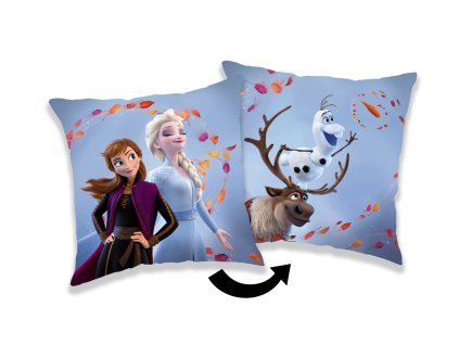 Polštářek Frozen 2 Wind 02 (Varianta Polštářek Frozen 2 Wind 02 35x35 cm)