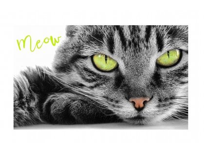 7785 2 kocourek oscar