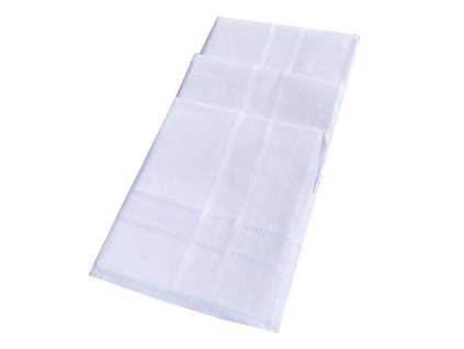 3063 1 kapesnik bily