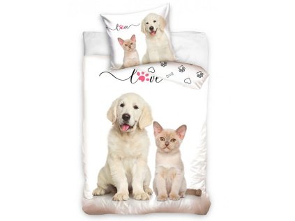 2406 1 stenatko kotatko