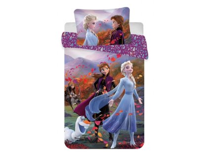 Disney povlečení do postýlky Frozen 2 Wind baby (Varianta Disney povlečení do postýlky Frozen 2 Wind baby 100x135, 40x60 cm)