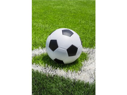 Dětská fleecová deka Fotbal (Varianta Dětská fleecová deka Fotbal 100x150 cm)