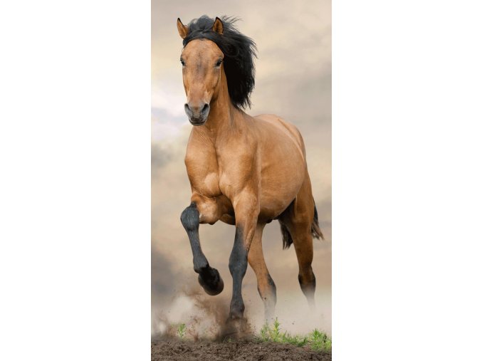 Osuška Horse brown