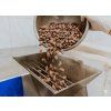 PRAWTEIN Cordyceps Plus (Varianta 100 ml)