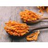 PRAWTEIN Cordyceps Plus (Varianta 100 ml)