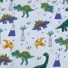 4263 6 dinocutewild 1